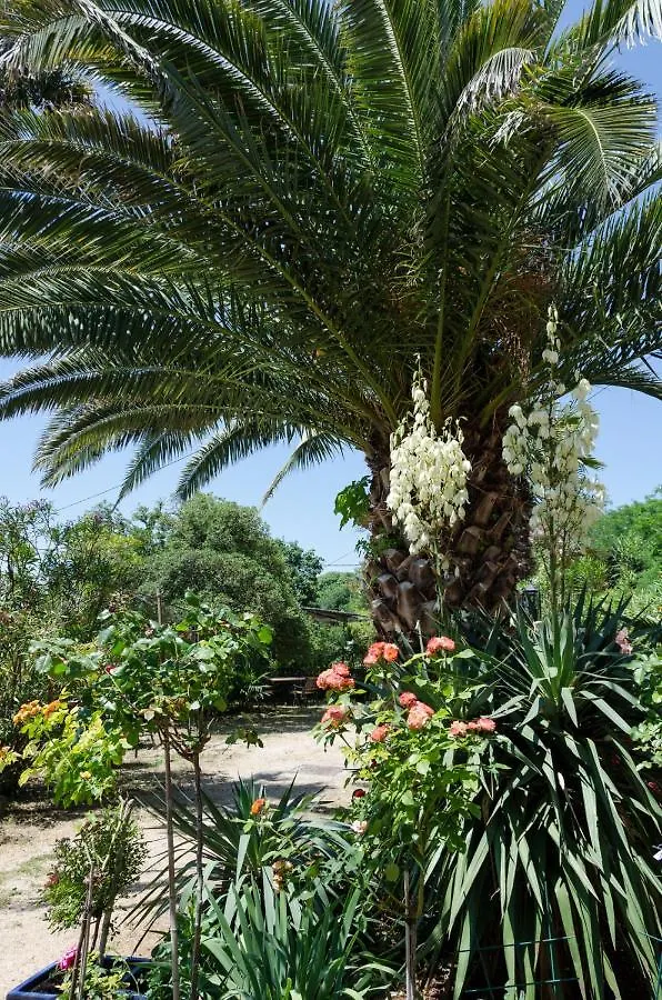 Villa Anna Savudrija Apartmán